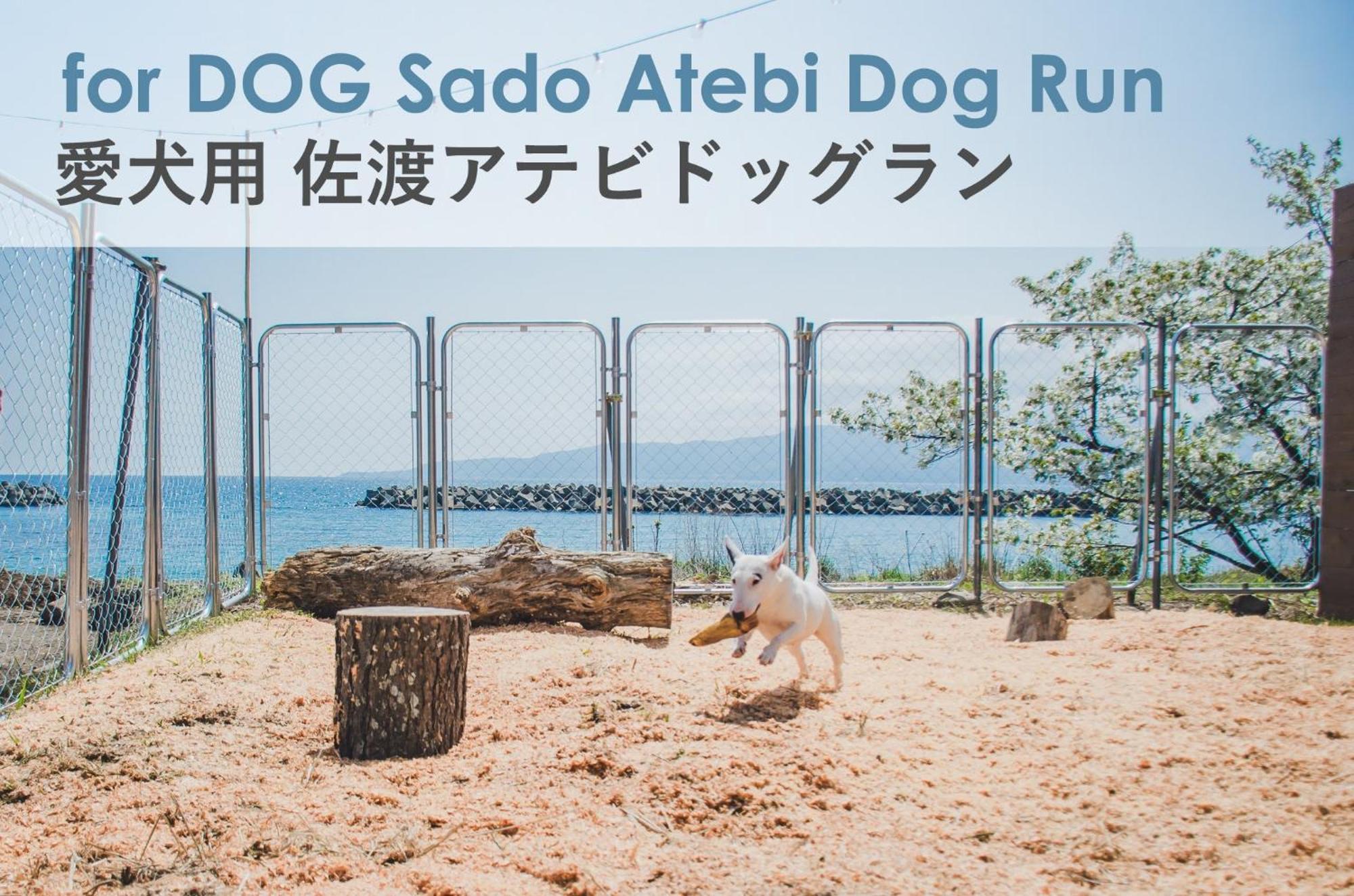 A310to Dog Moremottoさかさまドッグリゾート *