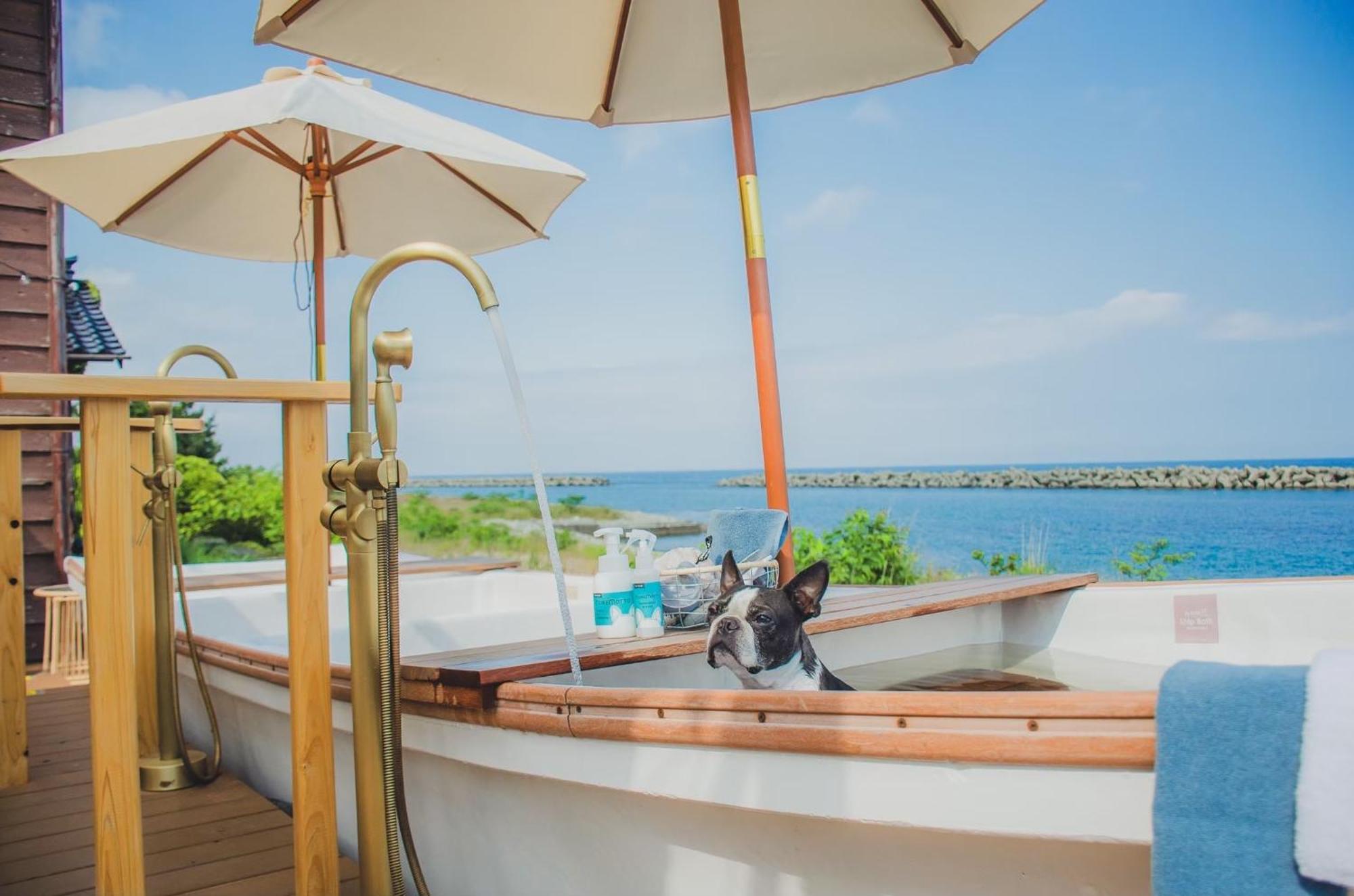 A310to Dog Moremottoさかさまドッグリゾート Villa Sado